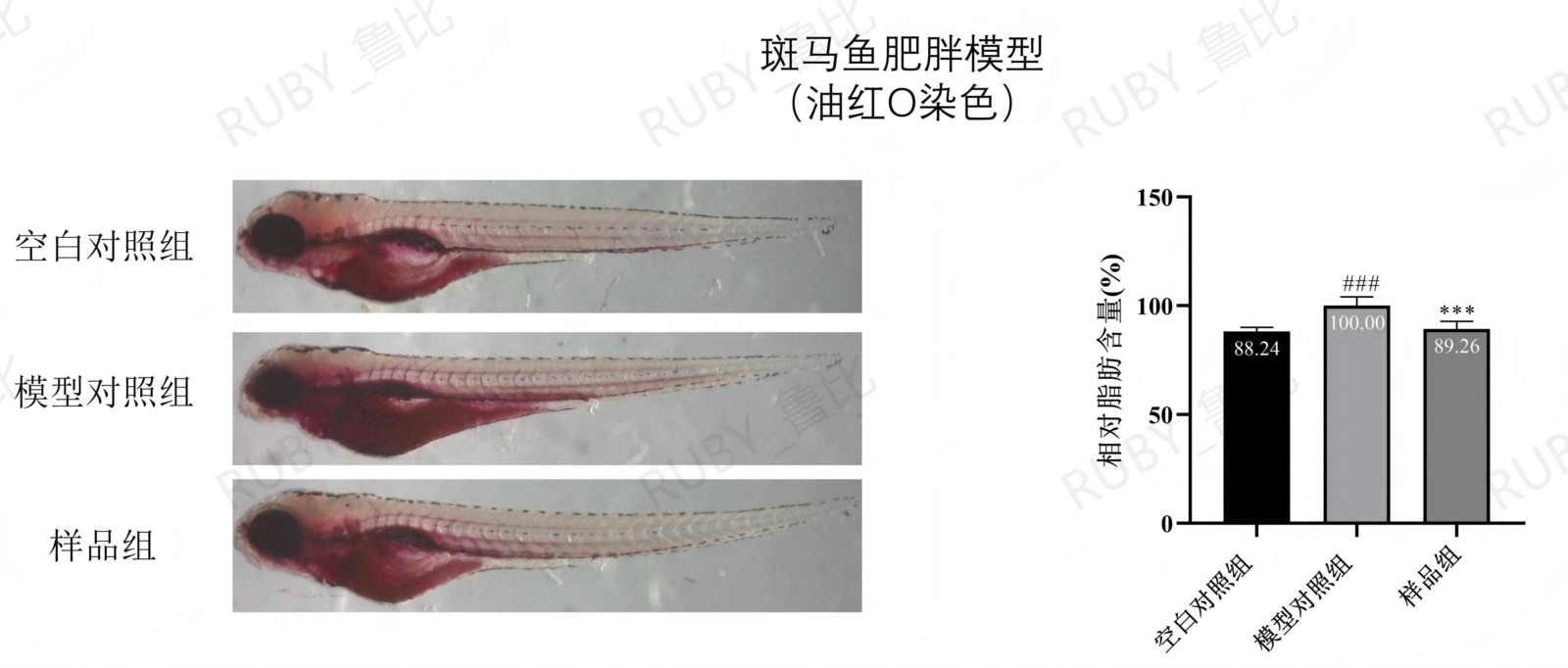 有助于控制体内脂肪