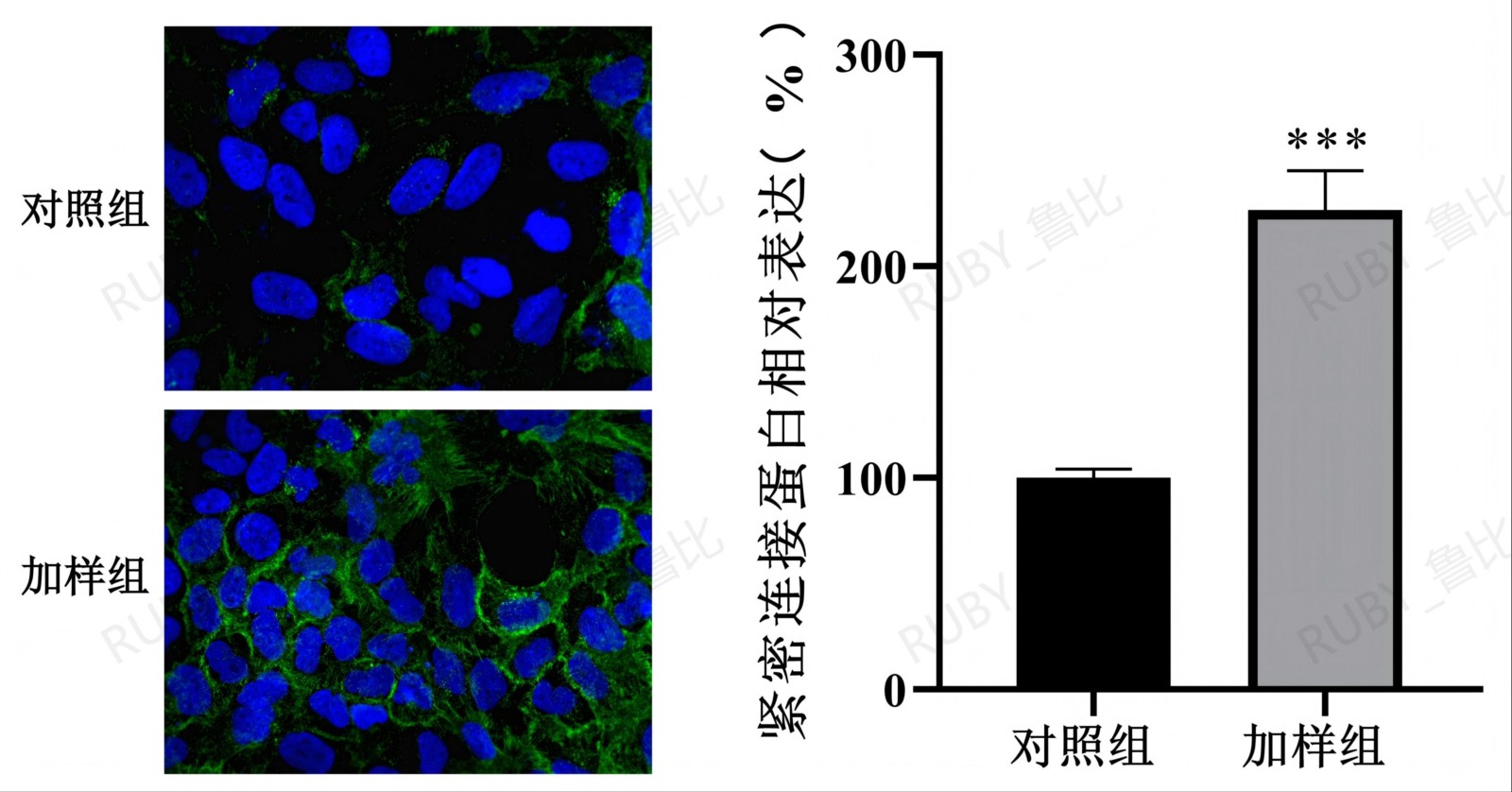 辅助保护胃粘膜