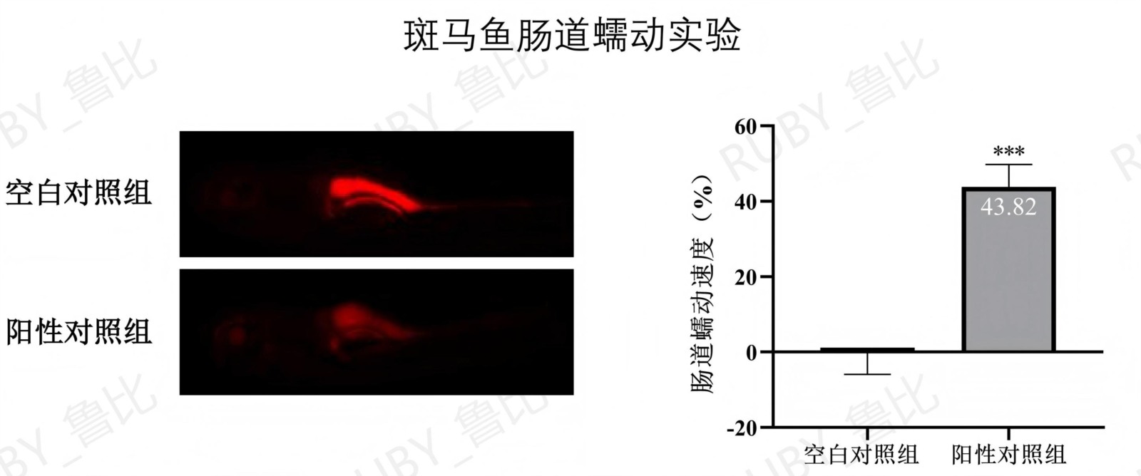 有助于润肠通便
