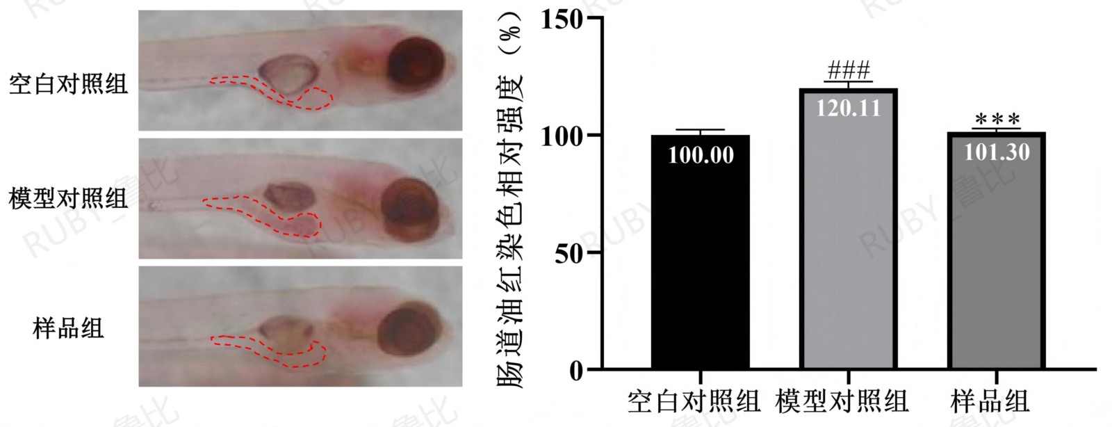 有助于消化