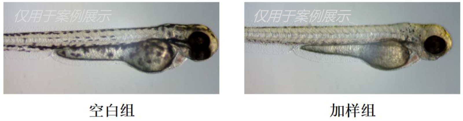有助于改善黄褐斑