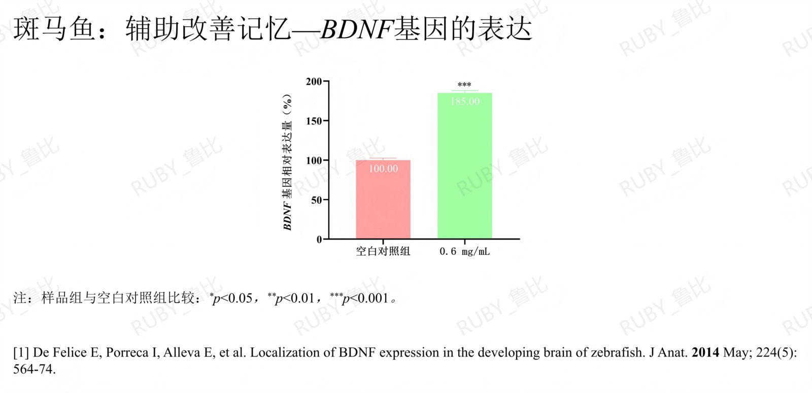 辅助改善记忆