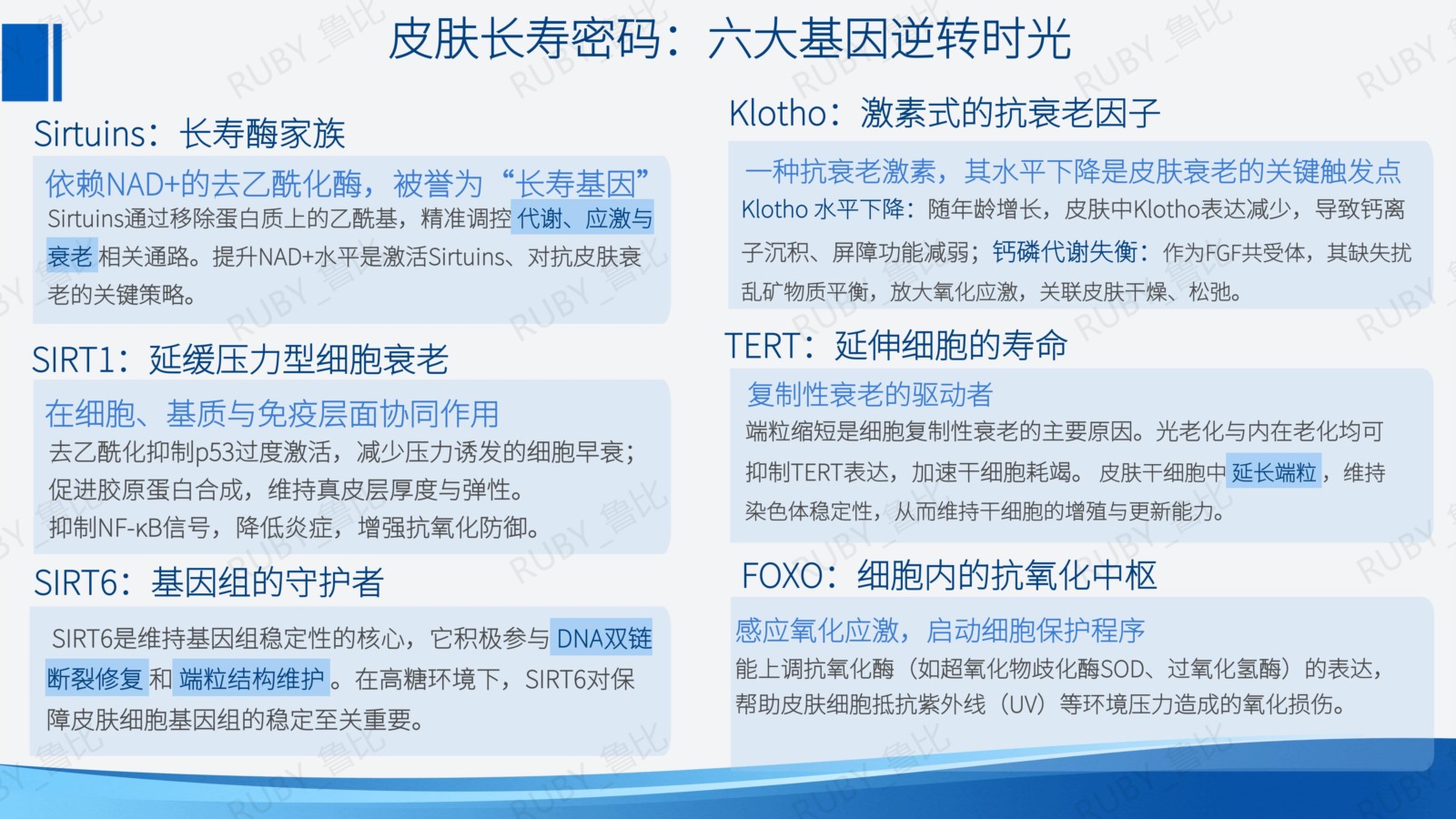 长寿基因