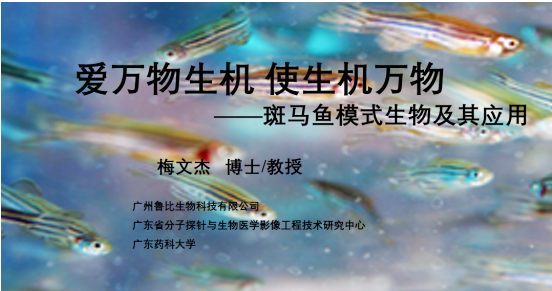 44ff6a88692a8957666be7085dbc2b04.png