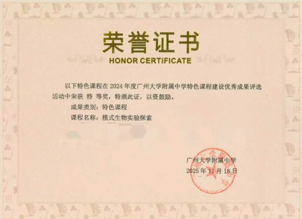 eea27ebbfbbbfbd5bfee9ee89eba0876.png