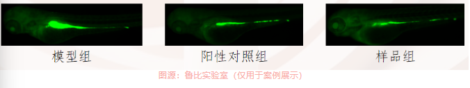 ea1c78d0e80efd4023870aa7fab54d0c.png