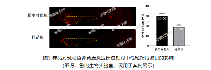 a93b11ab9a3cf619b3bbe512a9c8f53c.png