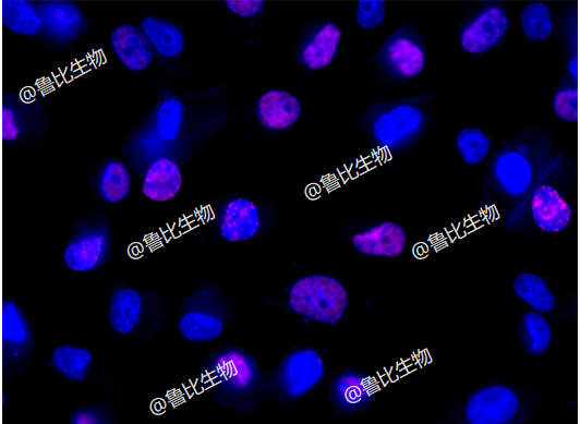 9c95fd17e0ced86040b1198e13dfb459.png
