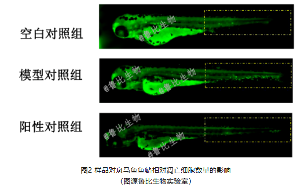 f4d151cfd75dee020a77c173610a01c5.png