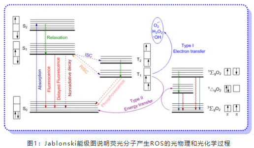 22e344ae86c3ce70a7fe5425e879e7dd.png